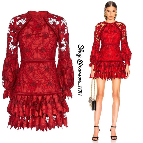 NEW Alexis Francisca Lace Mini Dress S - Picture 2 of 7